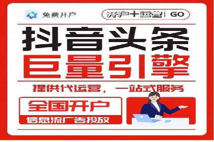 大型SEM服务公司案例分析